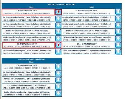 Proceso de instalación del certificado raíz de Izenpe