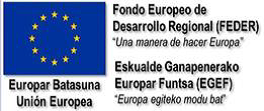 Fondo Europeo de Desarrollo Regional (FEDER)